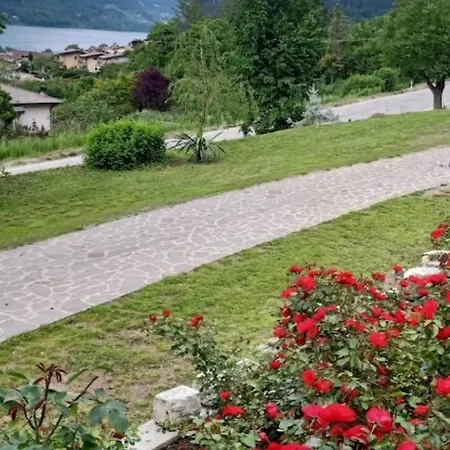 Le Rose *