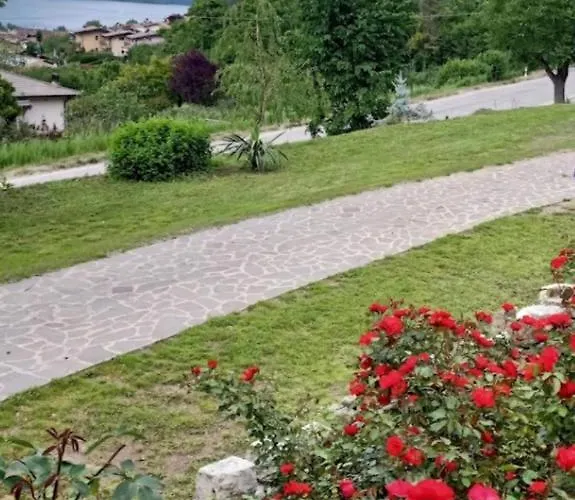 Le Rose *