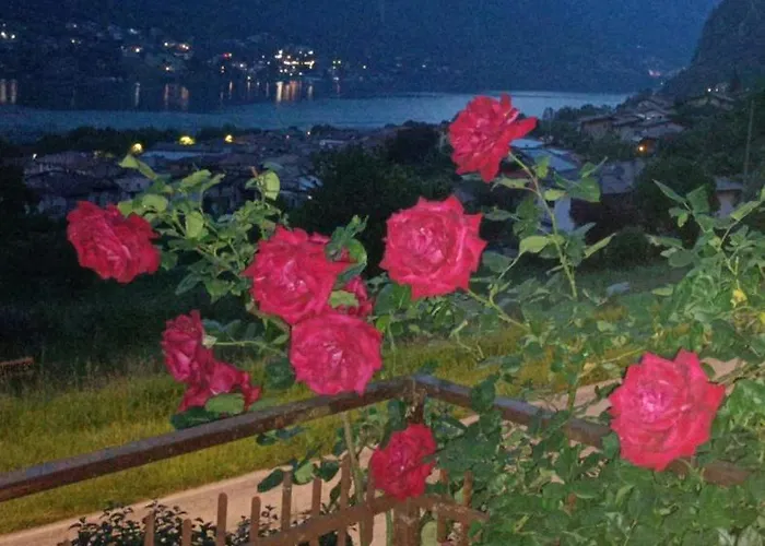 Le Rose * Crone