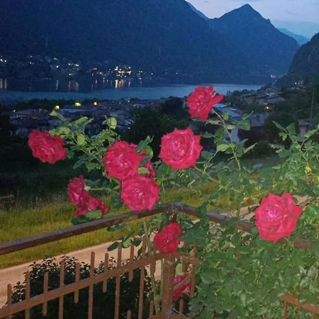 Le Rose * Crone